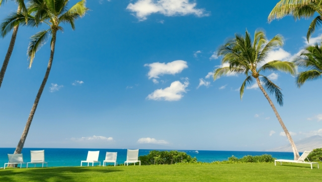 请温柔对待《你的玩具》——惊悚解谜向游戏及玩模测评