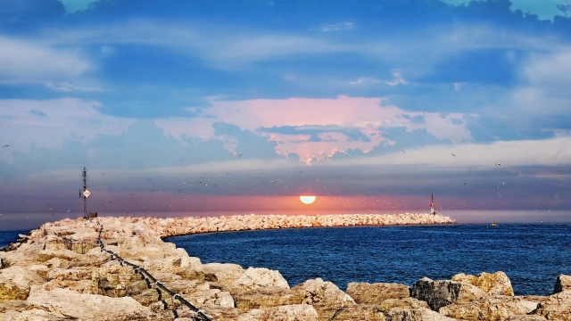 直播行业的前景和现状？